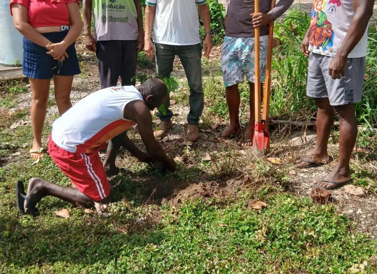 Foto da matéria: Pará ganhou 10 mil árvores de uma única vez nesta quarta-feira (17) em ação da Emater