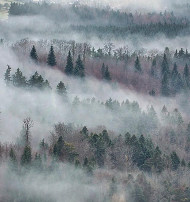 Foto da matéria: Frente fria avança e mantém temperaturas baixas no país