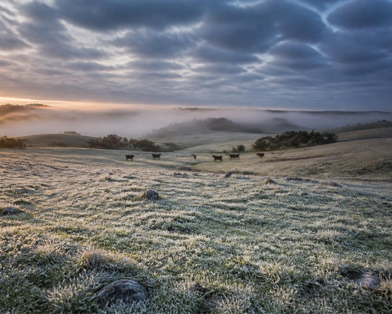 Foto da matéria: Frente fria avança e derruba temperaturas em grande parte do país