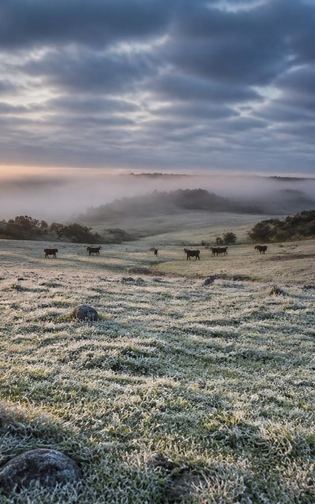 Foto da matéria: Frente fria avança e derruba temperaturas em grande parte do país