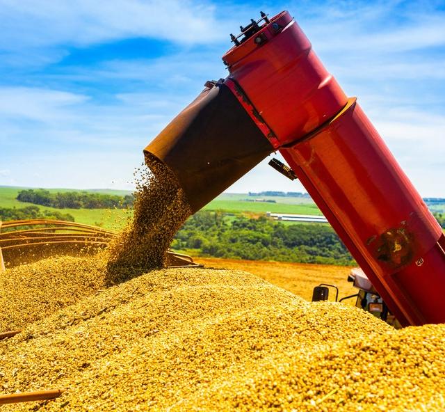 Foto da matéria: Brasil já perde espaço para os EUA em vendas de soja para a China